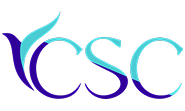 CSC Partner